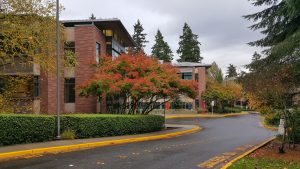 Microsoft HQ