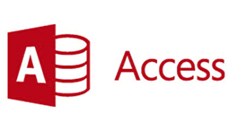 Microsoft Access Consulting
