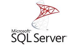 Microsoft SQL Server with Access Expert